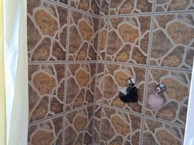 House for sale in Inkwanca, Eastern Cape