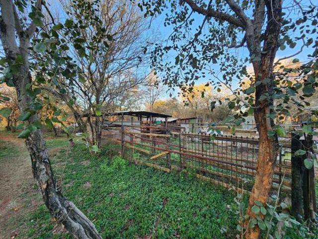 House for sale in Limpopo