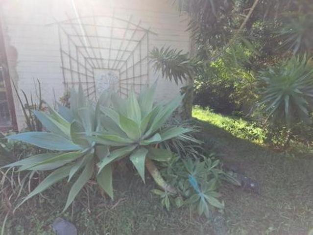 House for sale in Ugu District Municipality, Kwazulu-natal