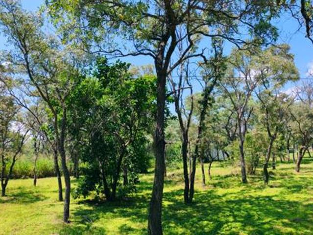 House for sale in Limpopo