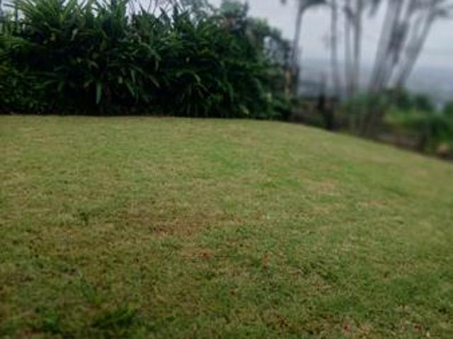 House for sale in Mount Moreland, Kwazulu-natal