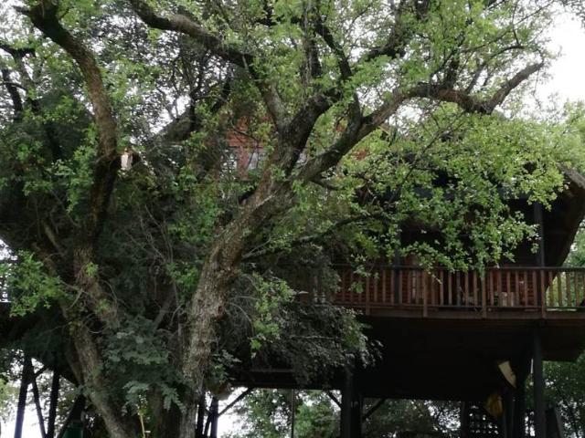 House for sale in Viljoenskroon, Free State