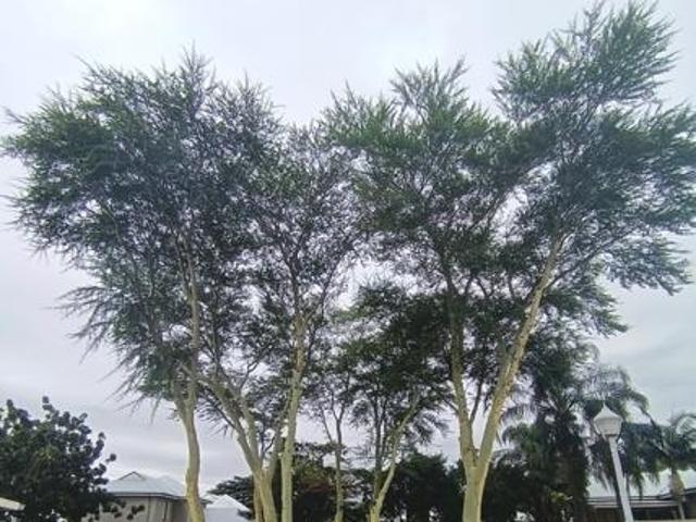 House for sale in Tlhabane, North West