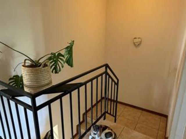 House for rent in Durbanville, Western Cape
