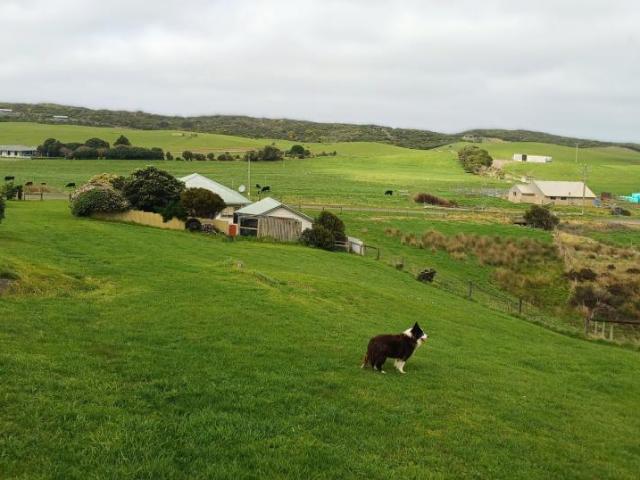 House for sale in Johanna, Victoria