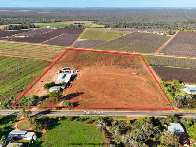House for sale in Loveday, Barmera