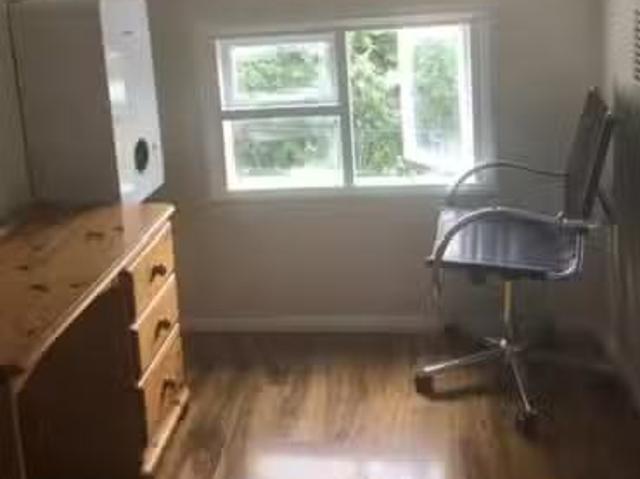 House for rent