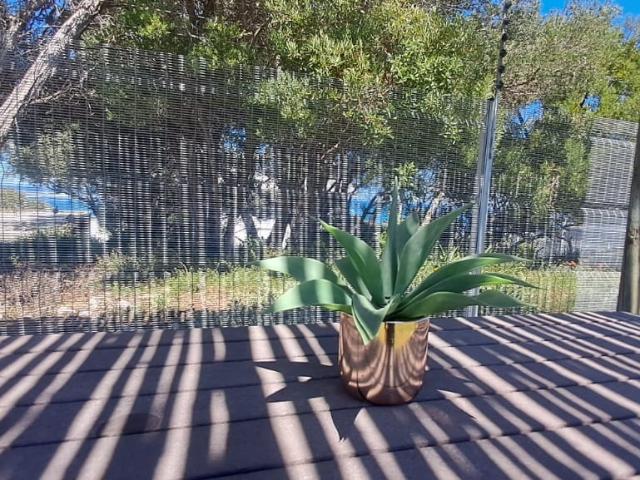 House for rent in Baardskeerdersbos, Western Cape