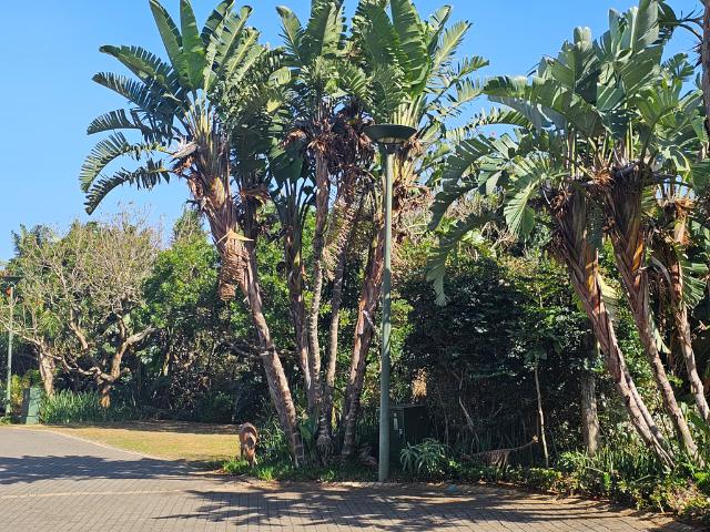 House for rent in Princess Grant, Kwazulu-natal