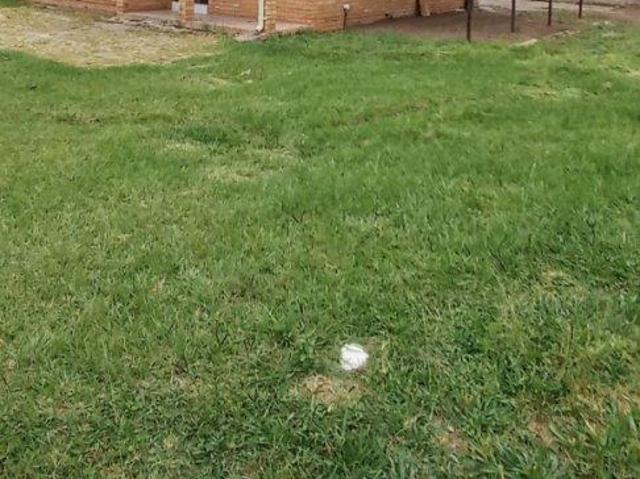 House for rent in Newcastle, Kwazulu-natal