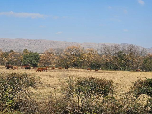 House for rent in Hartbeespoort Dam Nature Reserve, North West