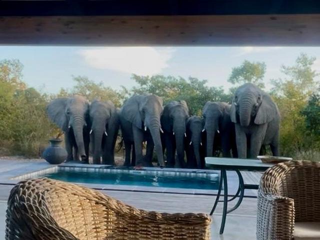 House for rent in Mopani, Limpopo