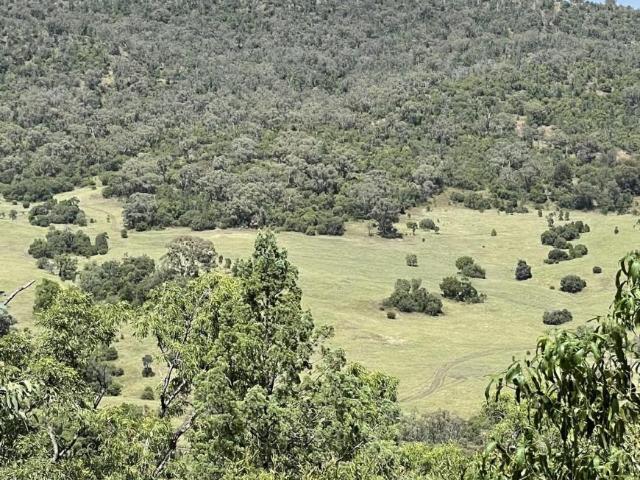 House for sale in New South Wales