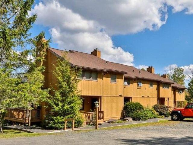 Condo for sale in Village of Hunter, East Jewett