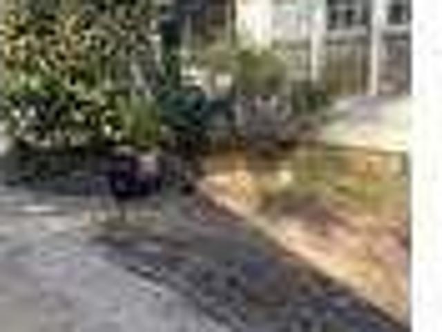 House for rent in Camden, Schuyler County