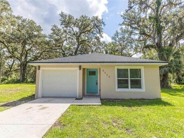 House for sale in Lake Panasoffkee, Florida