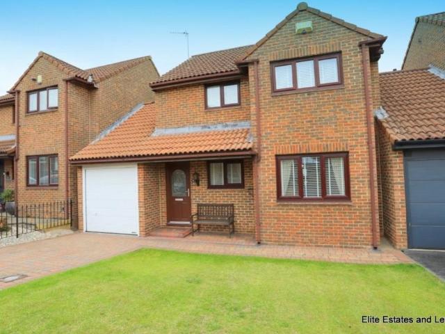 House for sale in Old Sunniside, Tyne And Wear