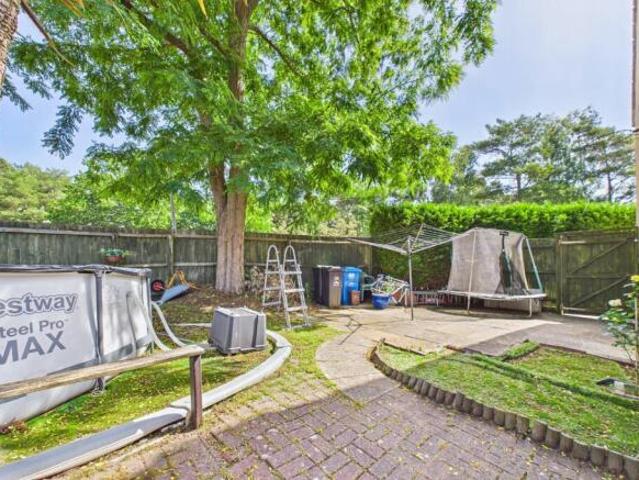 Farm for sale