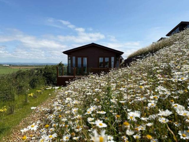 Farm for sale in Allerton, Calderstones