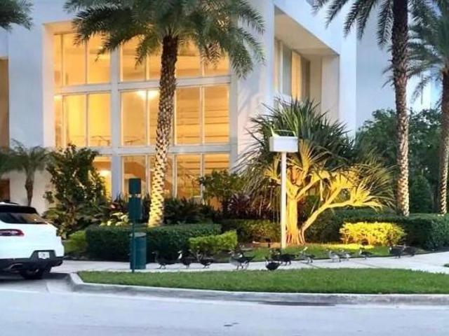 Condo for rent in Miami