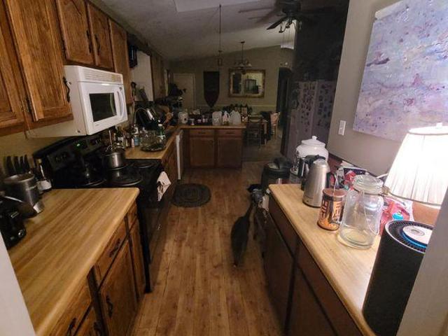 Room for rent in Horse Shoe, North Carolina