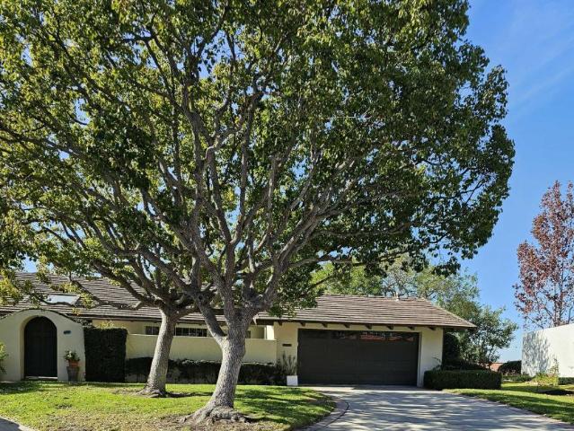 Condo for rent in Newport Beach