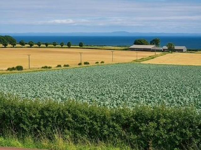 Park Home for sale in Scotland
