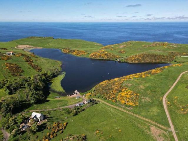 Property for sale in Scotland