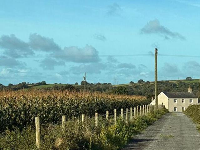 Apartment for rent in Llanelli, Wales