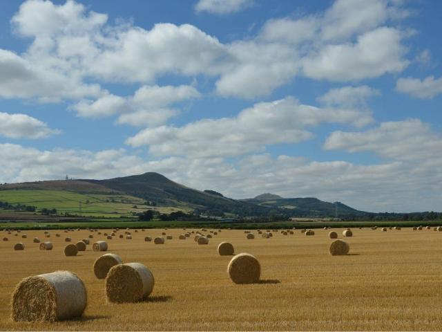 Land for sale in Strathmiglo, Scotland