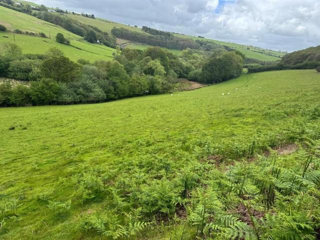 Land for sale in Wales