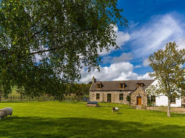 Land for sale in Scotland