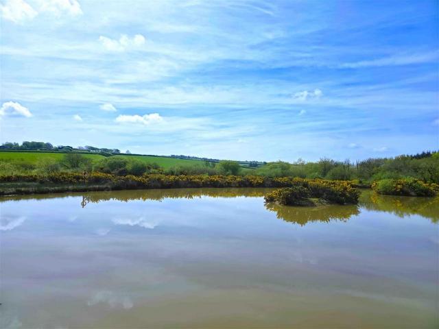 Land for sale in Brandis Corner, Devon