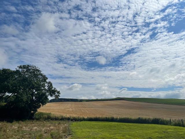 Land for sale in Torthorwald, Scotland