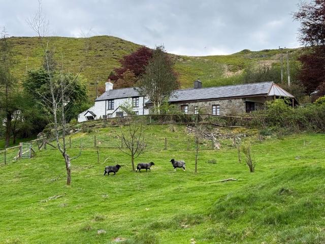 Land for sale in Ponterwyd, Wales