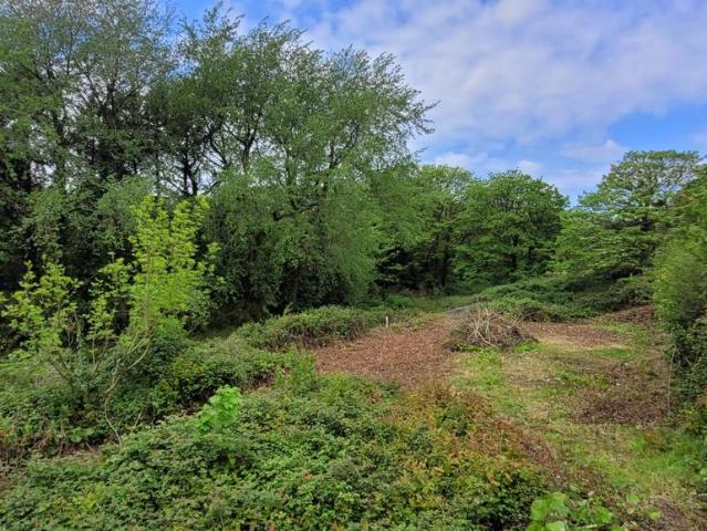 Land for sale in Lelant, Cornwall