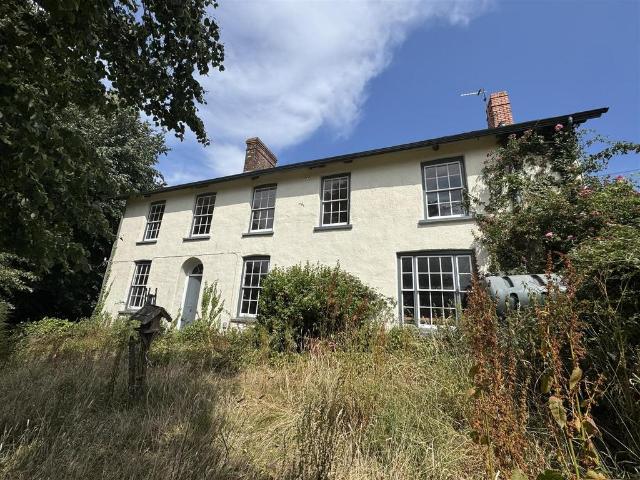 Land for rent in Cinnamon, Mid Devon