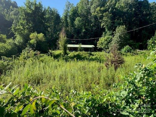 House for sale in Saluda, North Carolina