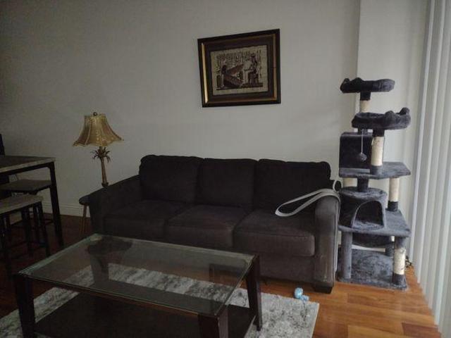 Room for rent in Jacumba, California