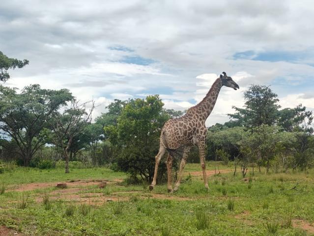 Property for sale in Nylstroom, Limpopo