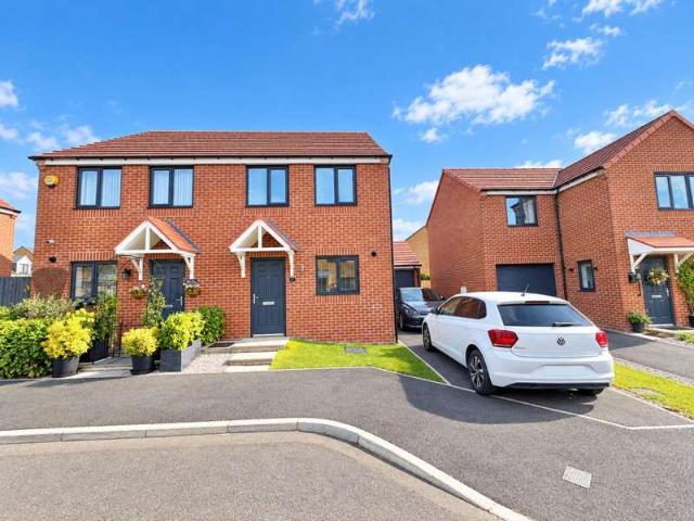 Farm for sale in St Helen Auckland, North East
