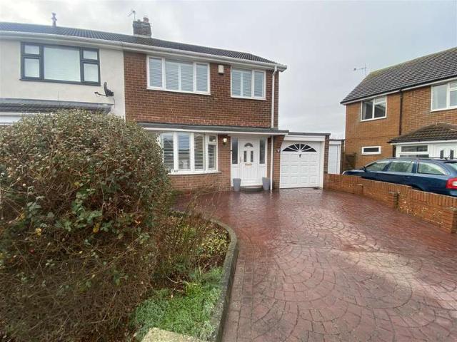 Farm for sale in Seaton Valley, Seaton Sluice