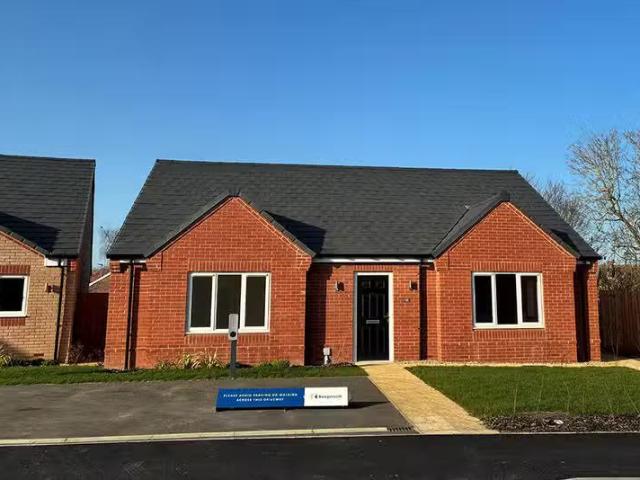 House for rent