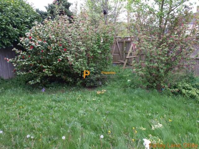 Farm for rent in Newall, Otley