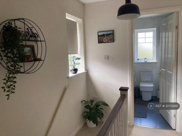 Farm for rent in Chatham