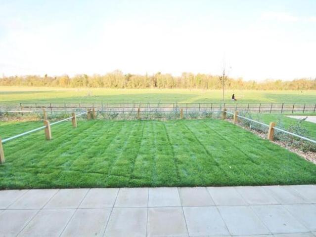 Farm for rent