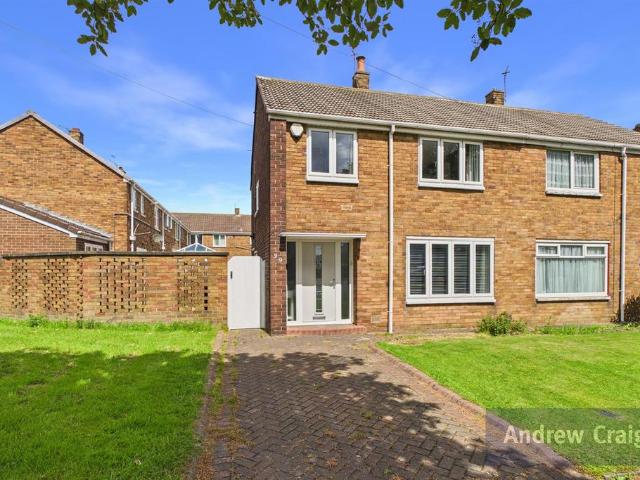 House for sale in Cauldwell, South Shields