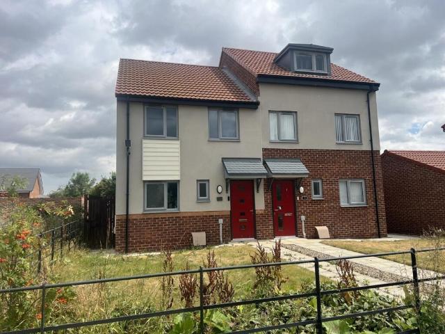 House for sale in Albert Hill, Darlington