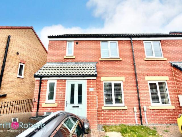 House for sale in Burnside, Tyne And Wear