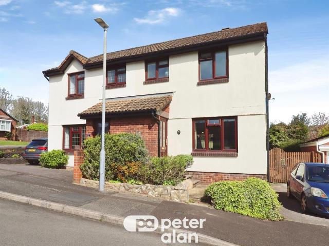 House for sale in Falcon Lodge, Wales